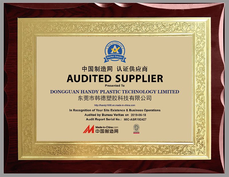 Bureau Veritas Audit Report MIC-ASR192427